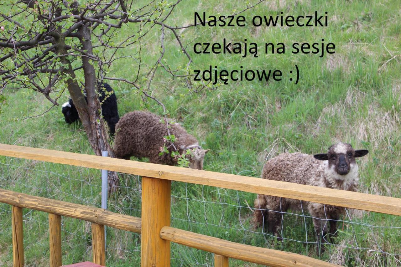 Willa Pod Zielonym Wierchem Ζακοπάνε Εξωτερικό φωτογραφία